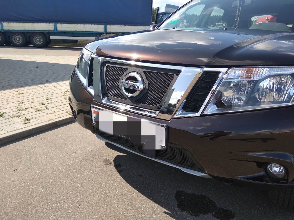 Защитная сетка решетки радиатора верх Nissan Terrano 2014- Защитная сетка решетки радиатора верх Nissan Terrano 2014-