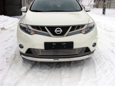 Защита передняя нижняя (овальная) 75х42 мм на Ниссан Мурано ( Nissan Murano 2010-2015)