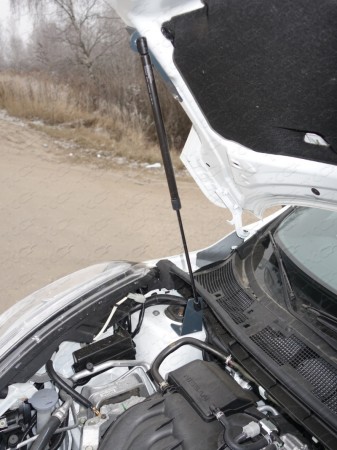 Упор капота Nissan Juke F15 (2010-2015)